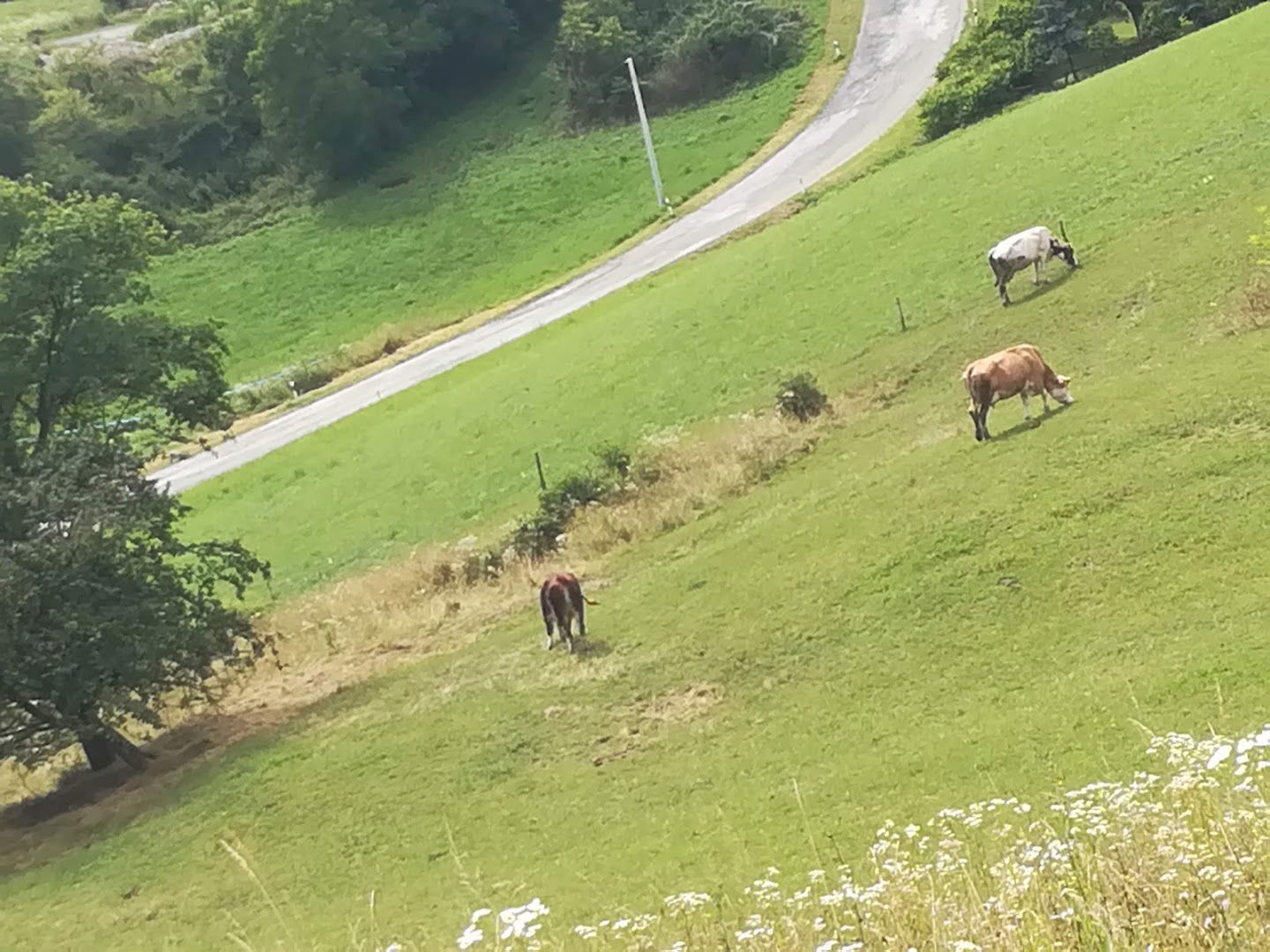 MATIČNI URED ZAGORSKA SELA