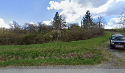 The old cemetery Hrtić
