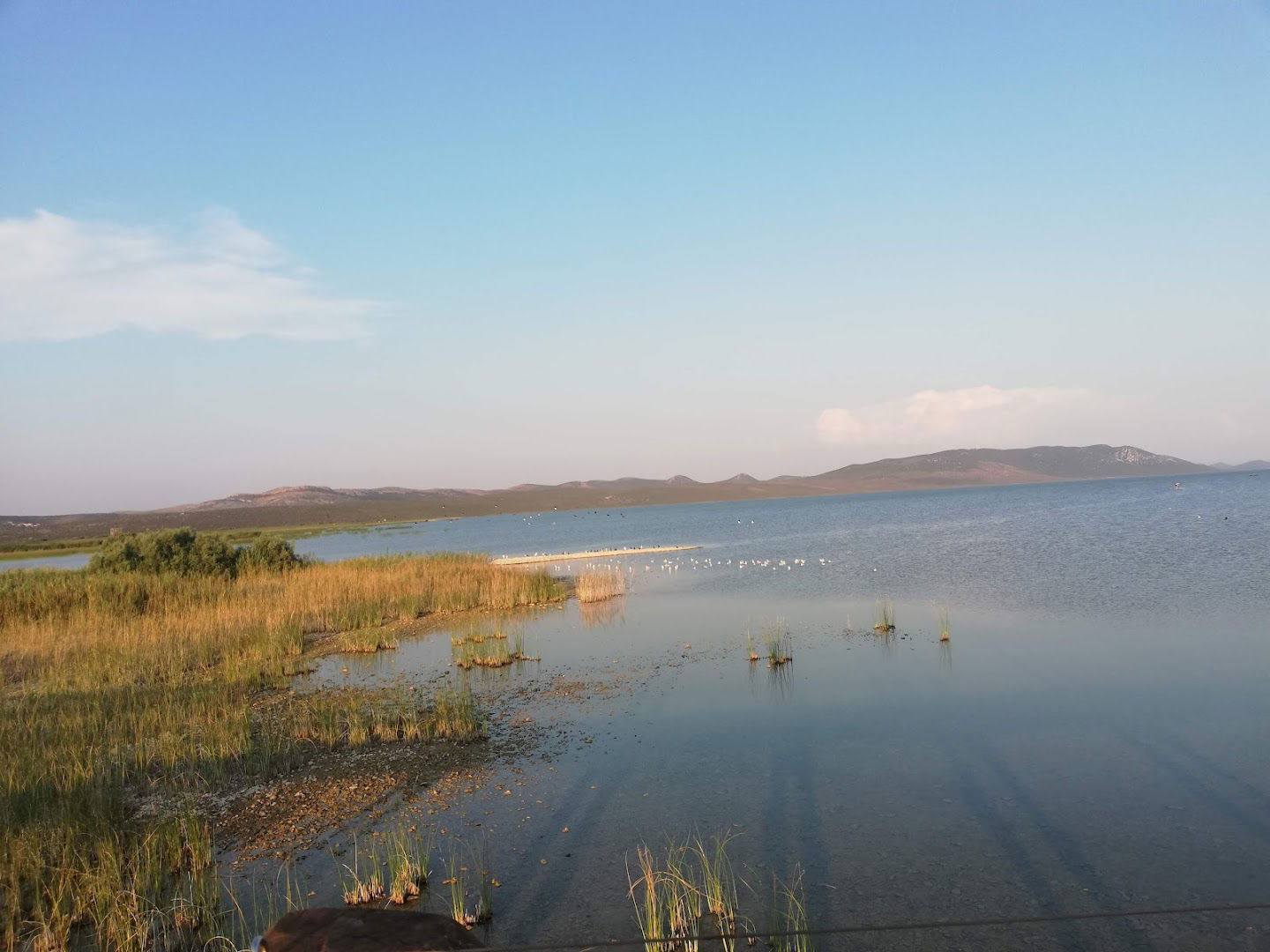 Nature Park Vrana Lake - ornithological reserve