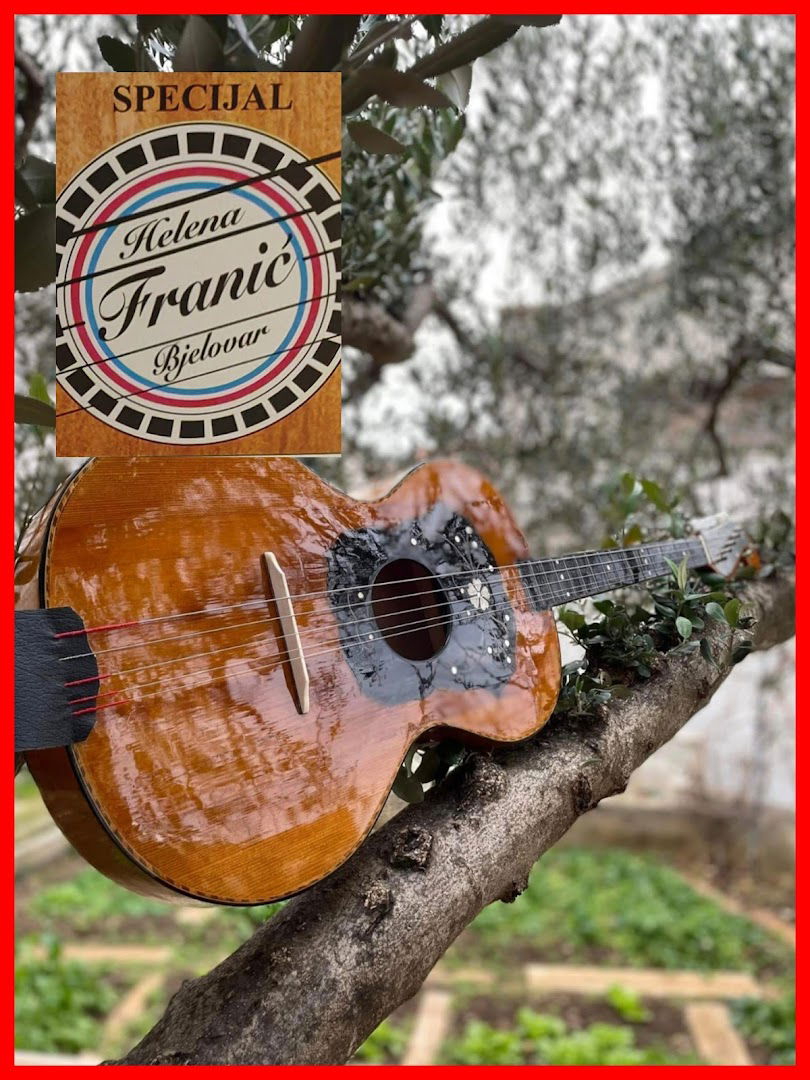 Žice za Tambure Helena Franić