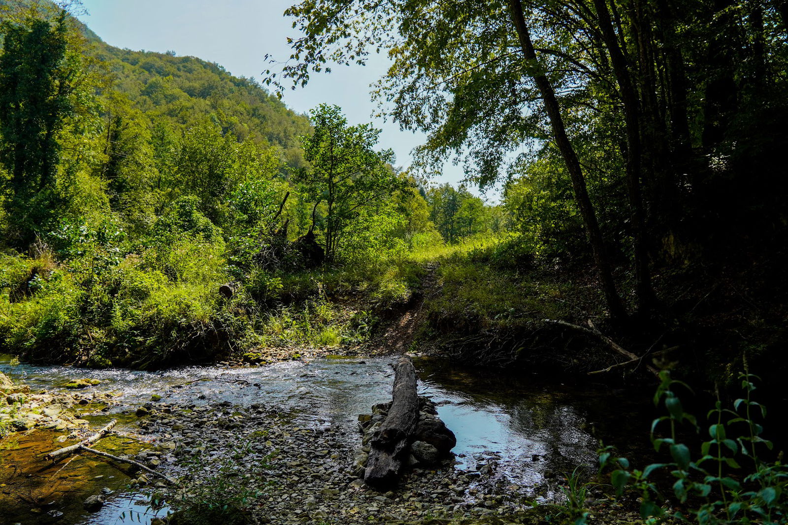 Potočna dolina Slapnica