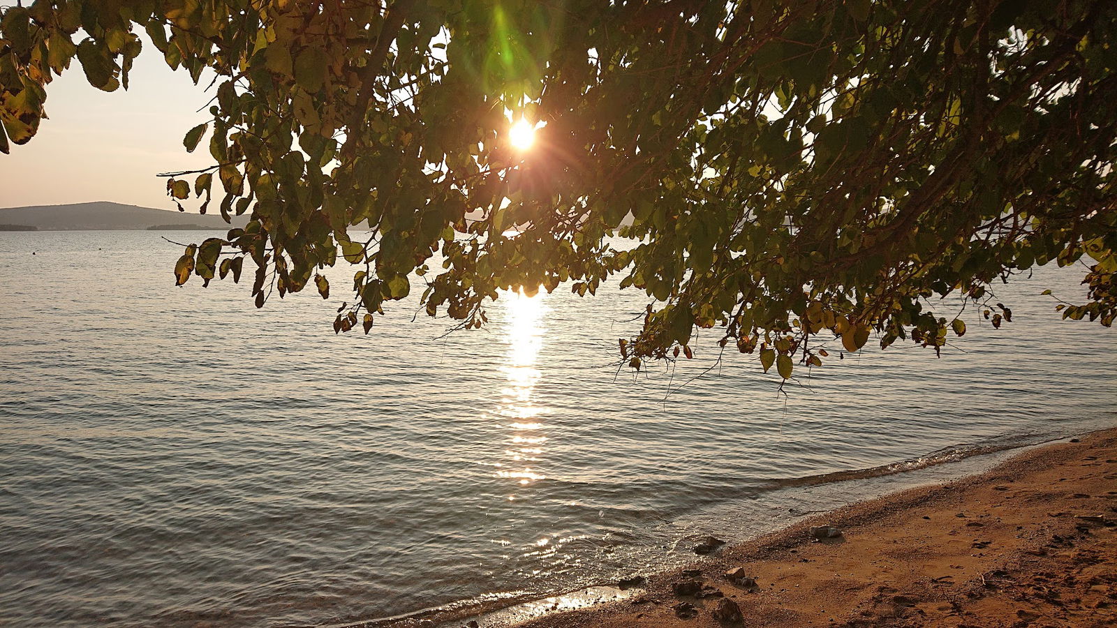Sveti Filip i Jakov Apartmani Domagoj
