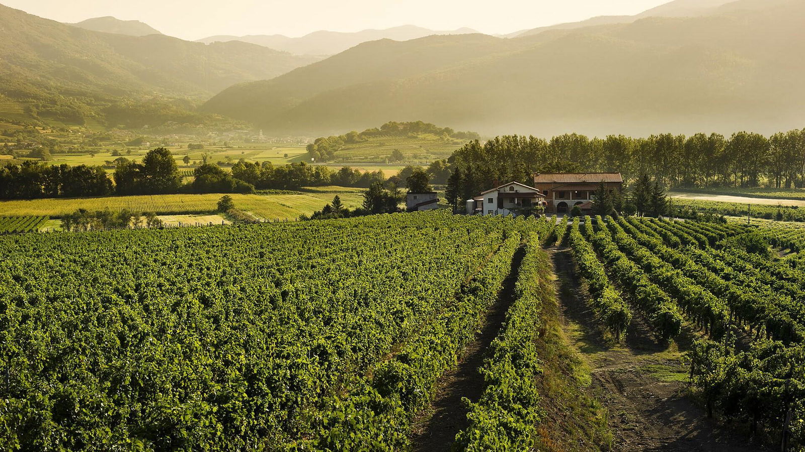 POSESTVO ROUNA | apartmaji & vino