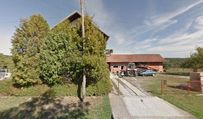 Velika Bršljanica (2) cemetery