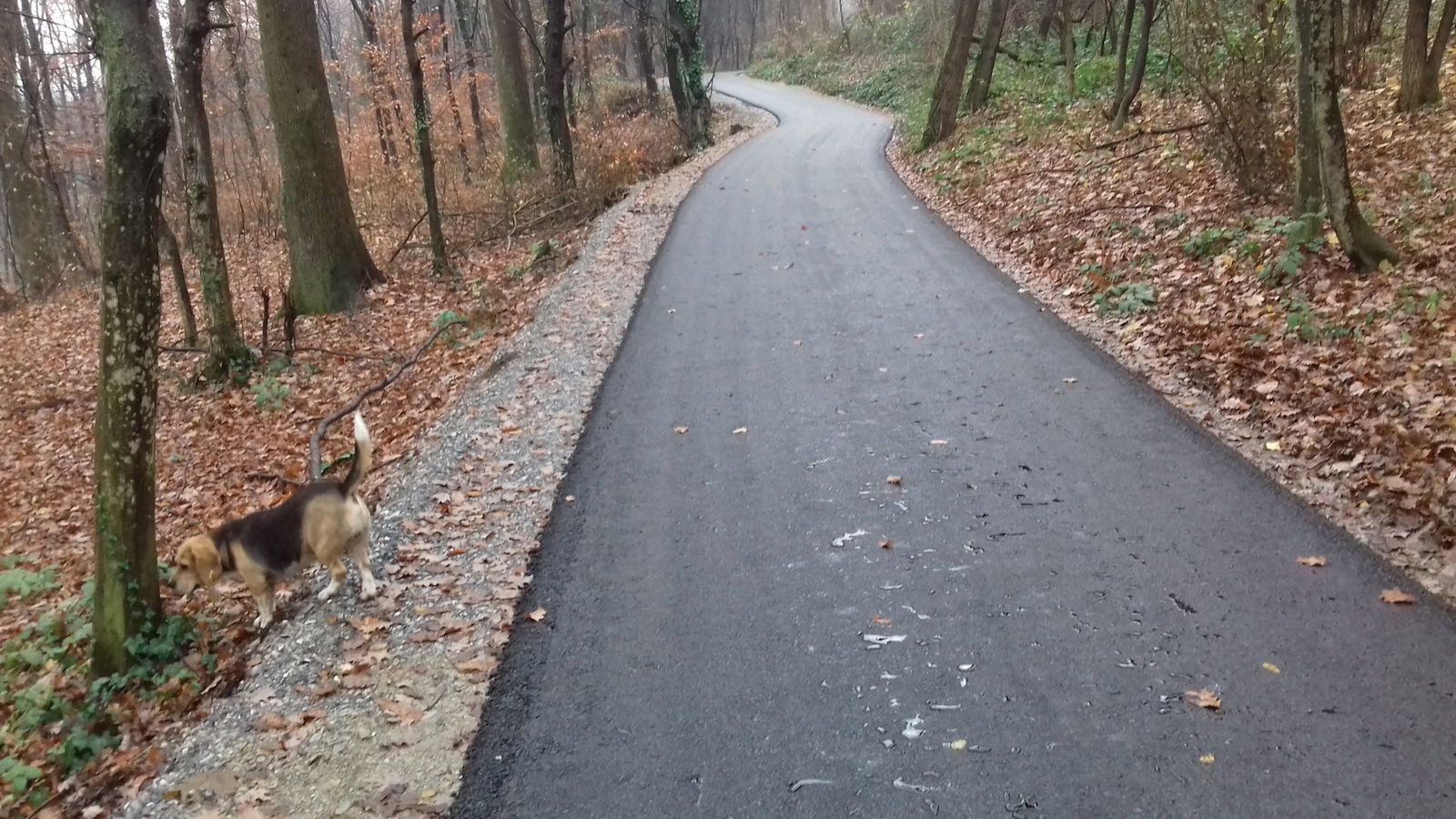 Euromonting doo Lepoglava