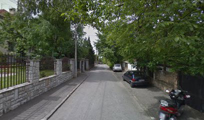 ИМТ - Индустрија механизације и трактора - Тафе Србија