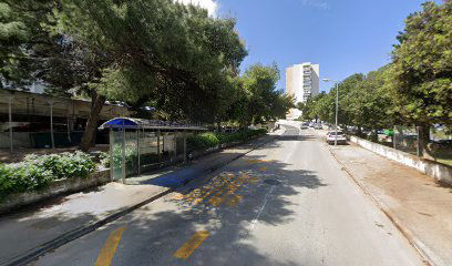 PUJANKE - TIJARDOVIĆEVA 2