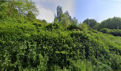 Velika Peratovica cemetery