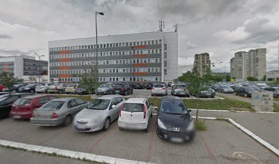 VISA CEMEA Holding Limited - Ogranak u Beogradu