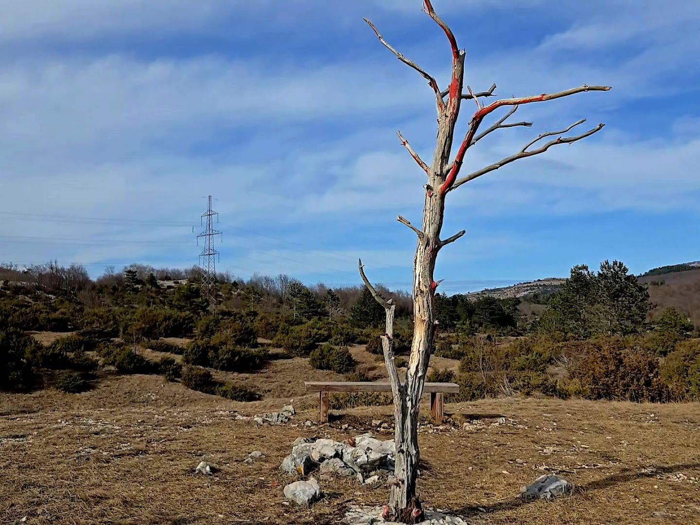 Red Tree, Učka Land Art Trail