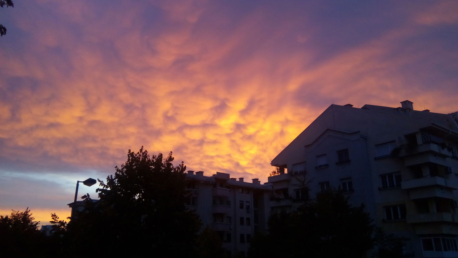 Душана Вукасовића