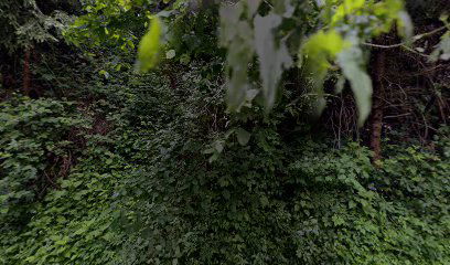 Pokopališče Rodni Vrh