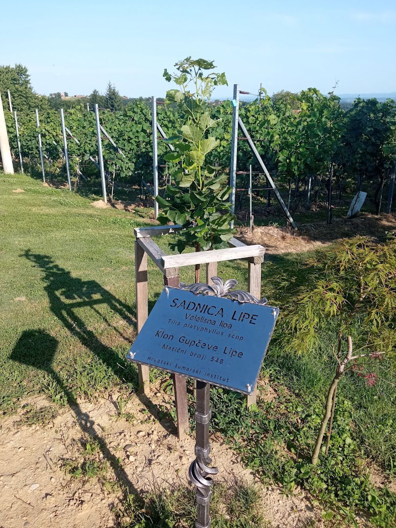 Vinar Zvonko Petković