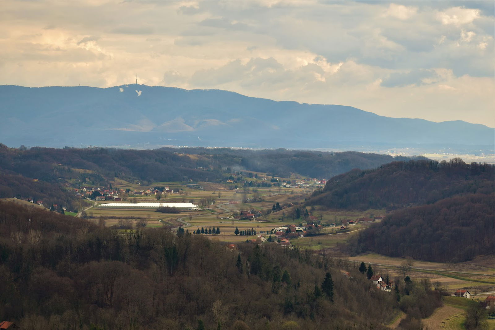 Staklenik rajčica Samek d.o.o.