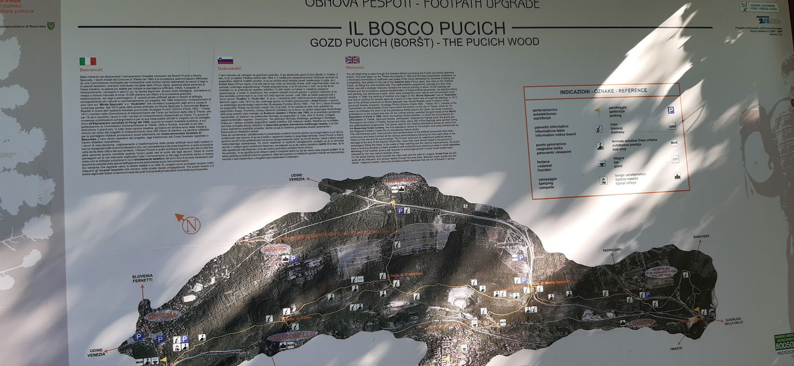 Bosco Pucich