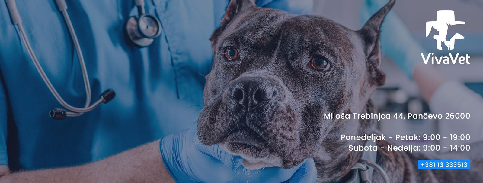 VivaVet d.o.o.
