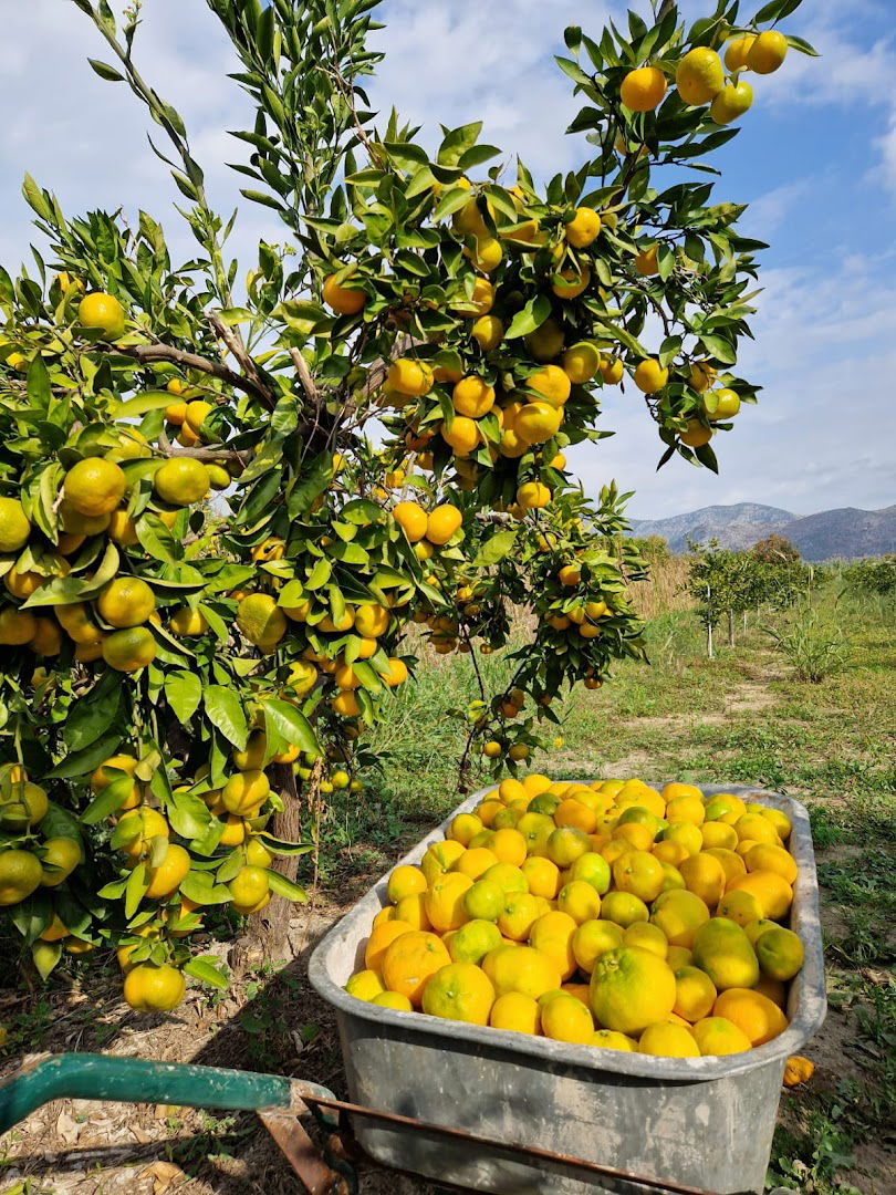 OPG Blago doline Neretve