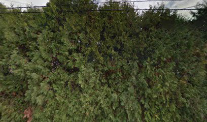 Smart Irrigation Solutions