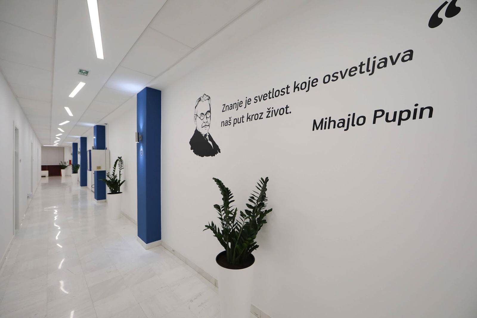 Fakultet društvenih nauka - FDN