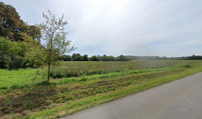 Drávafok, Felsőszentmártoni elágazás [6]