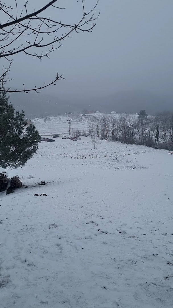 Отдых зимой.