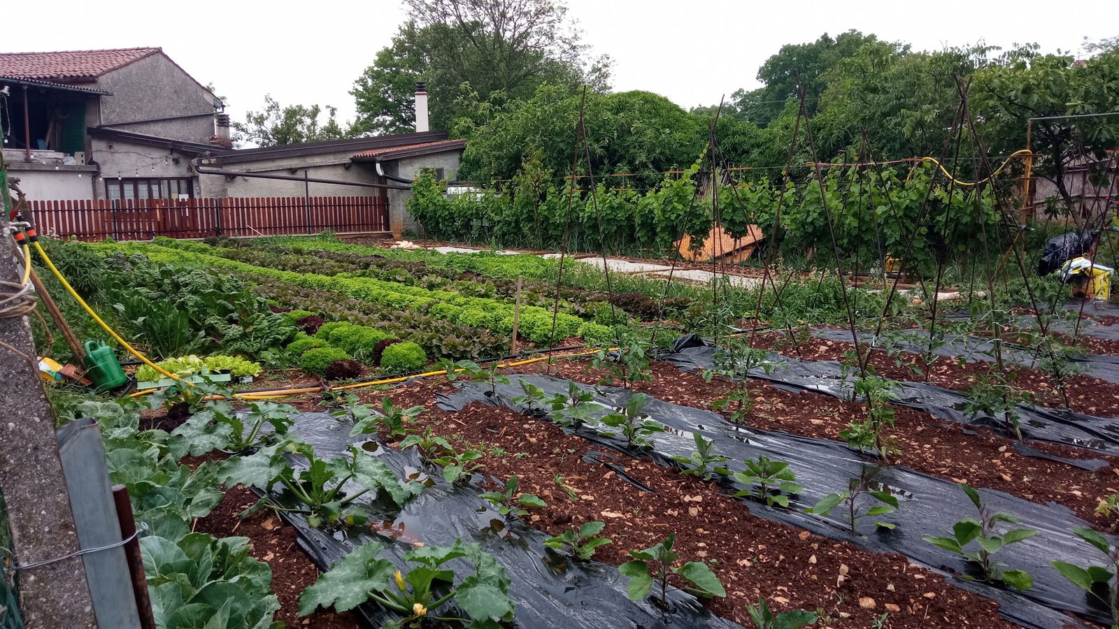 Farm Kmetija Erika Šuc