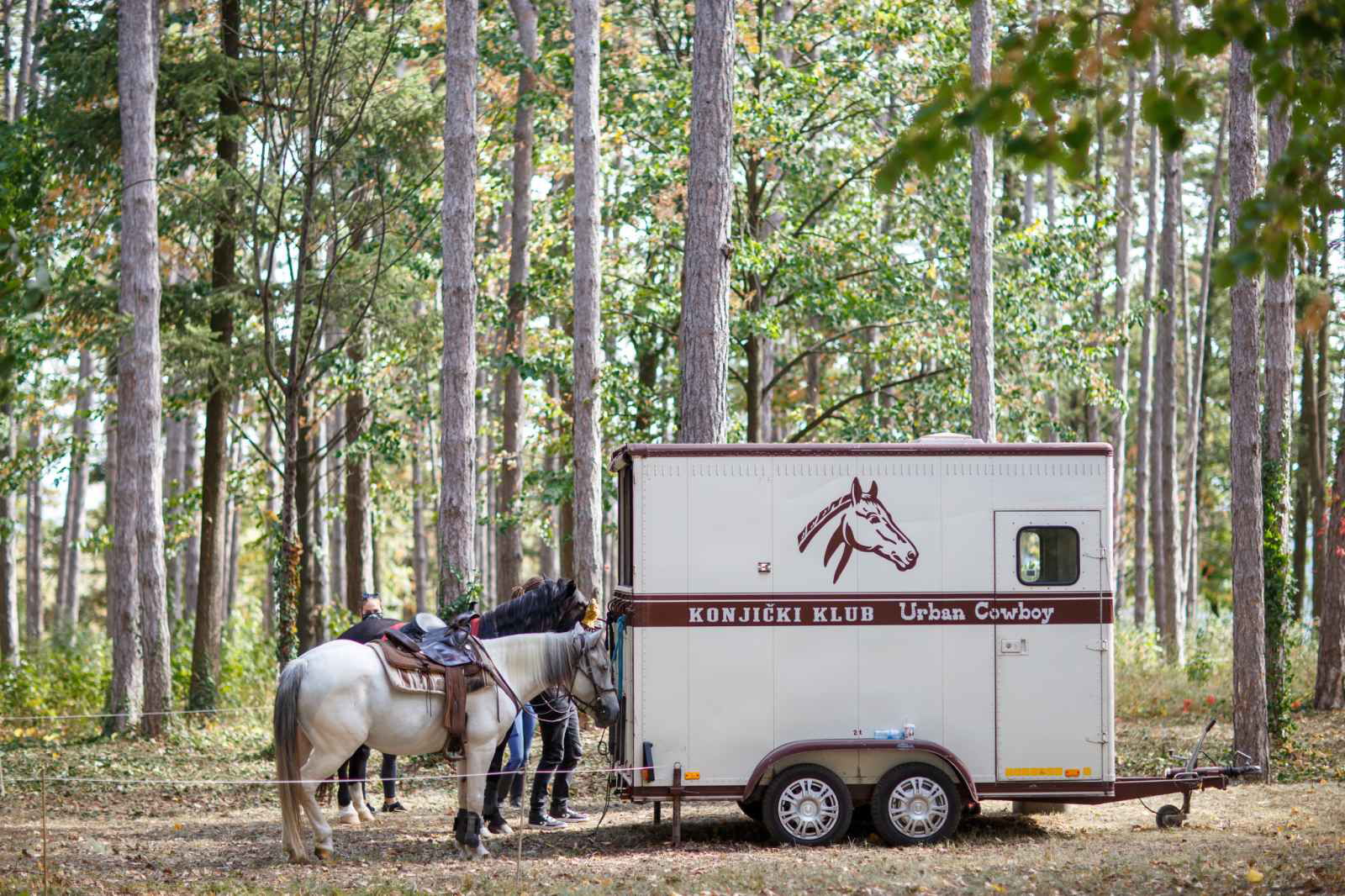 Konjicki klub Urban Cowboy