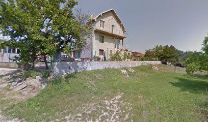 Auto servis Mladenovic