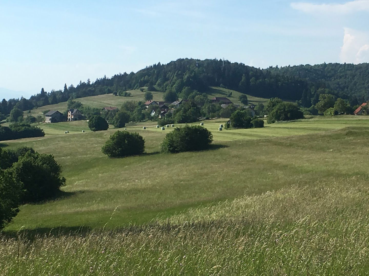 Matjaž Perčič s.p., prevozi