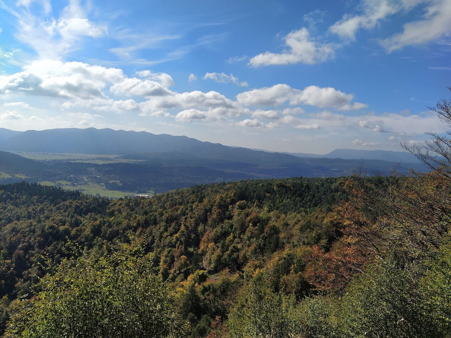 Špičasto Stražišče - Špička