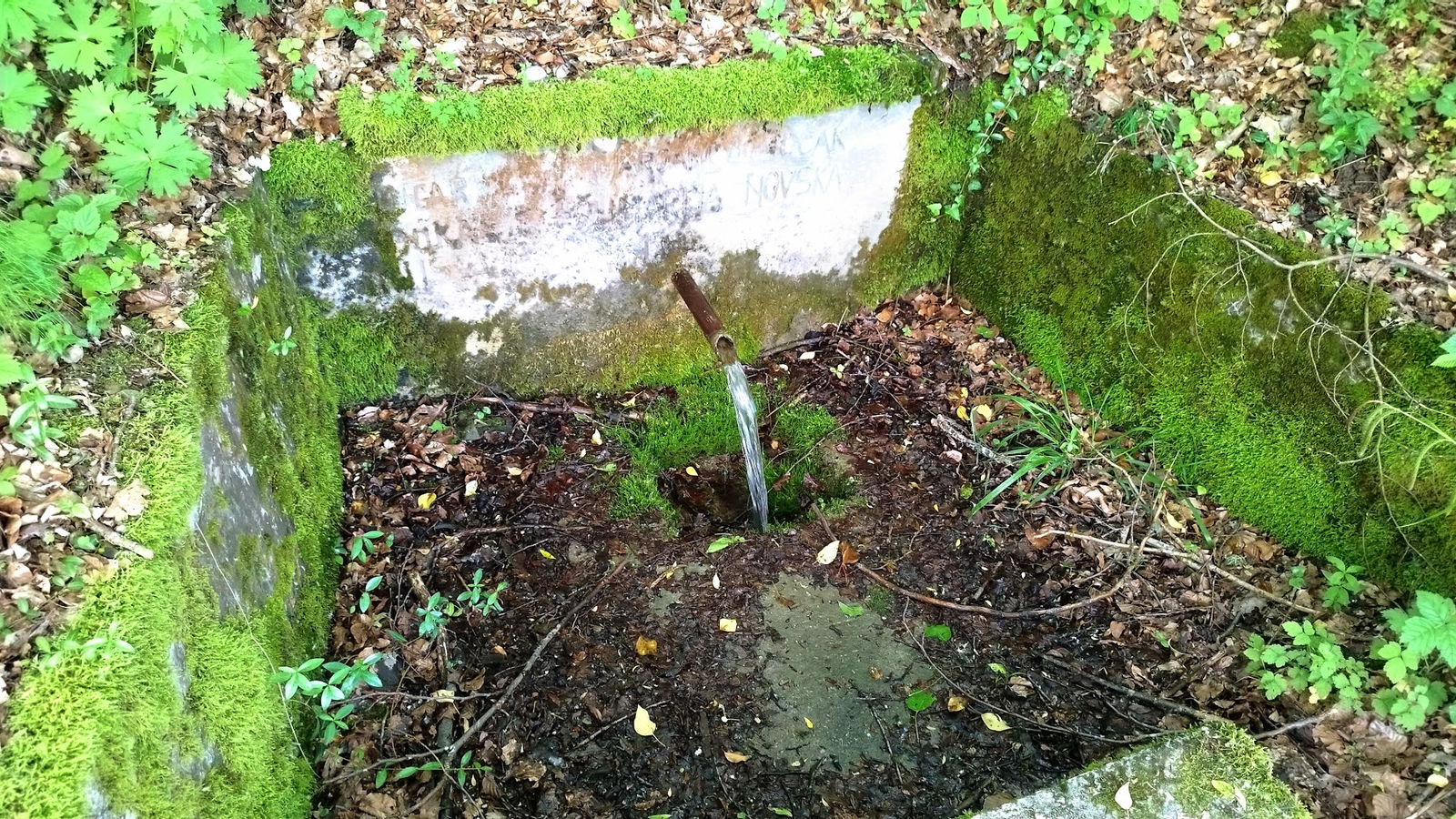 Marjanović točak , Izvor