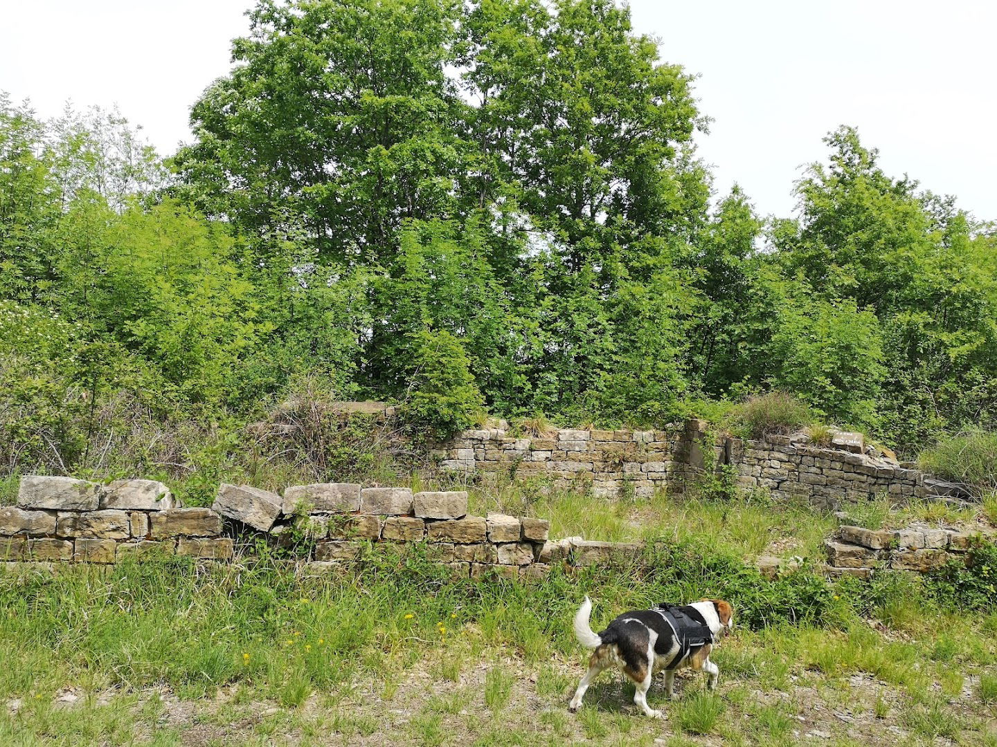 Church of St. Cantius