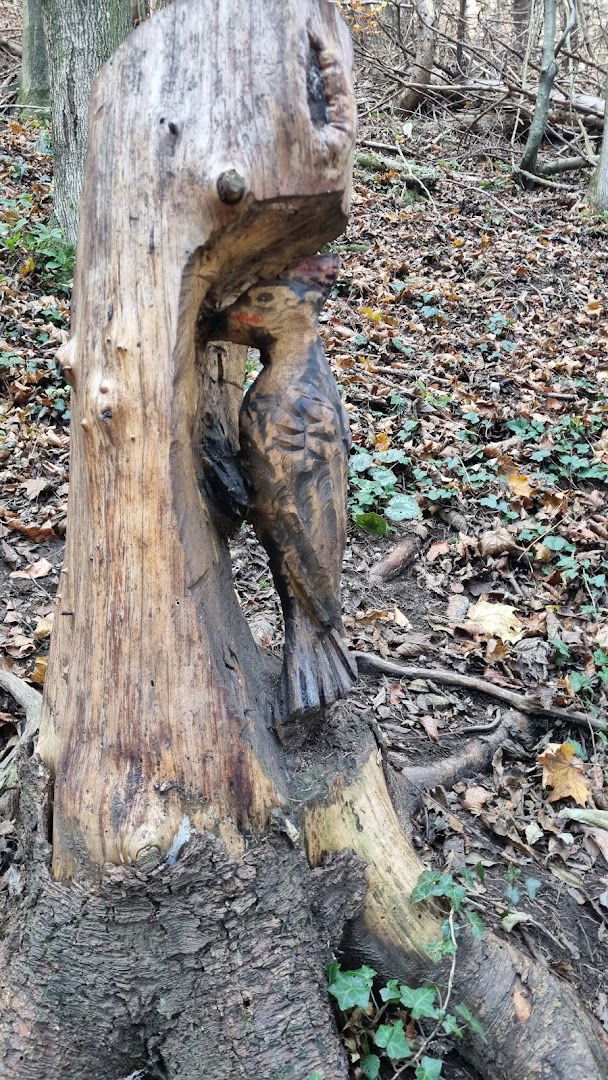 Černe Mlake - Odmoriste do vrha