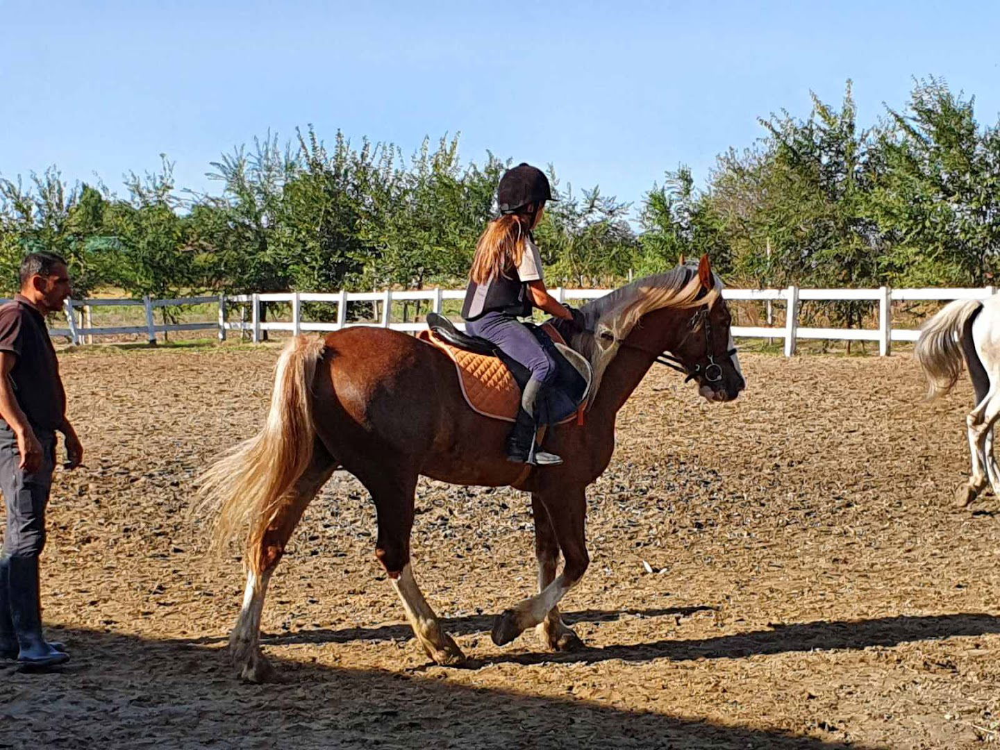 Коњички клуб Мирела