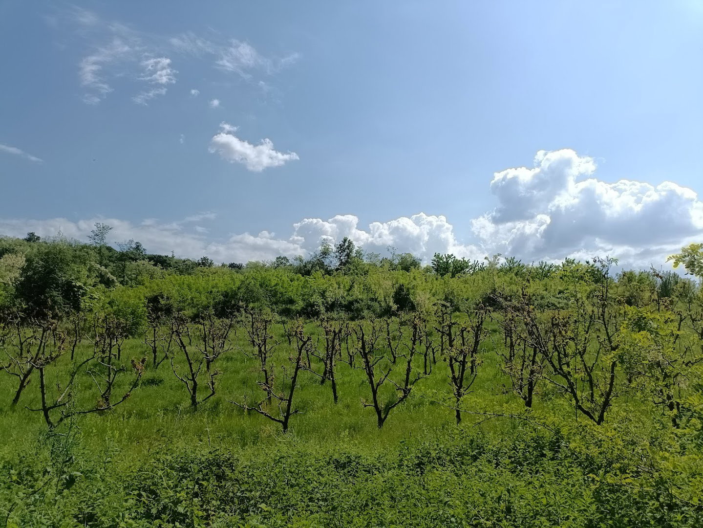 Пољопривредно газдинство Брадоњић