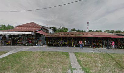 International Flora Exclusive