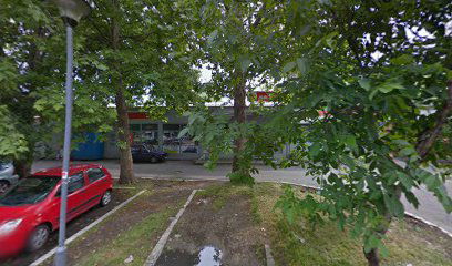 Beard Dog Grooming & Day Spa