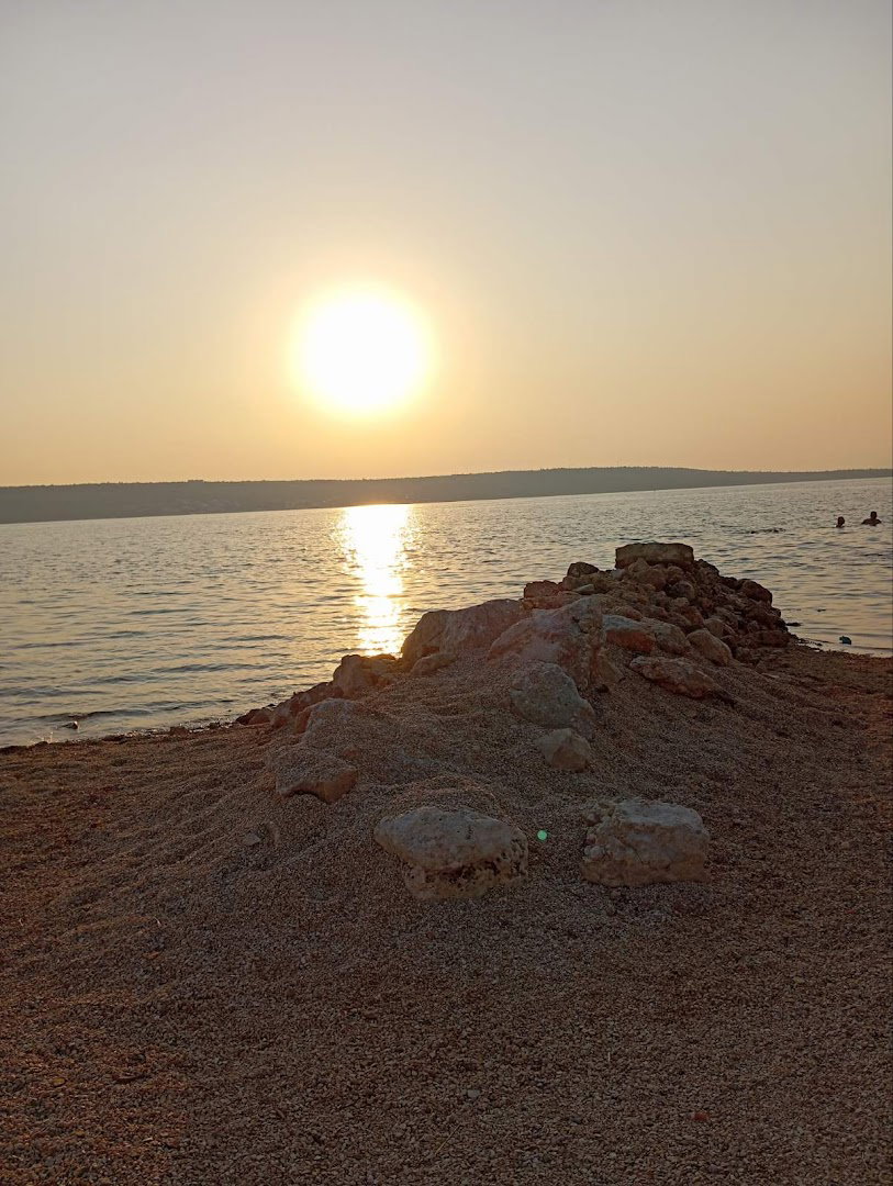 plaža sa školjkama