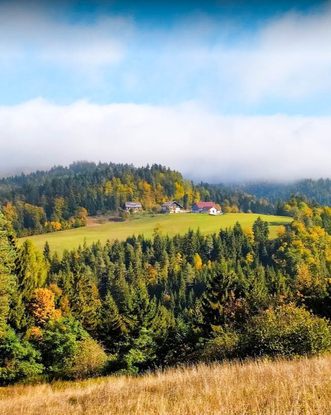 Kmetija Pečnik (Farmstay)