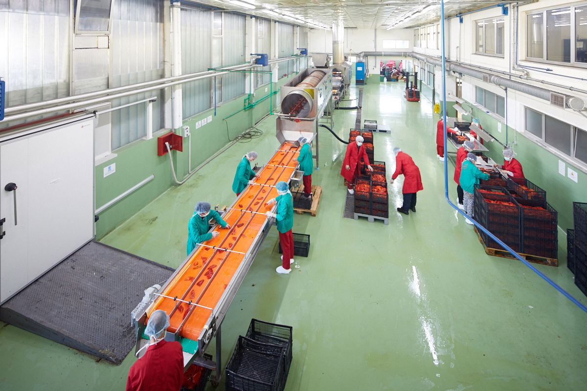 Traditional Logistics