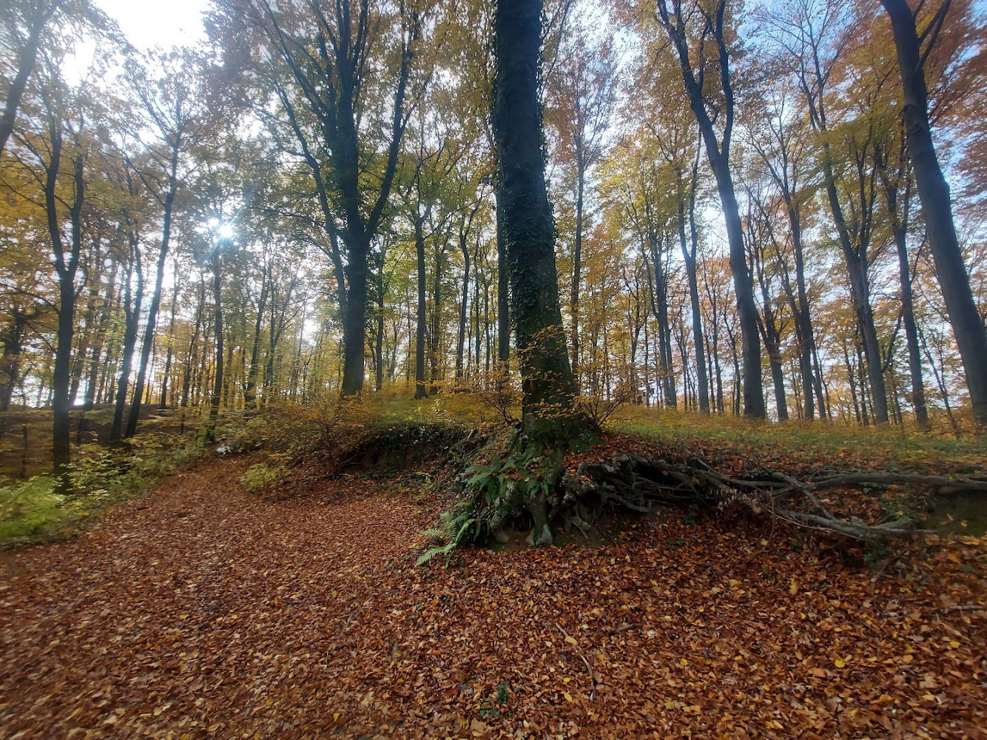 Municipality of Koprivnica Bregi