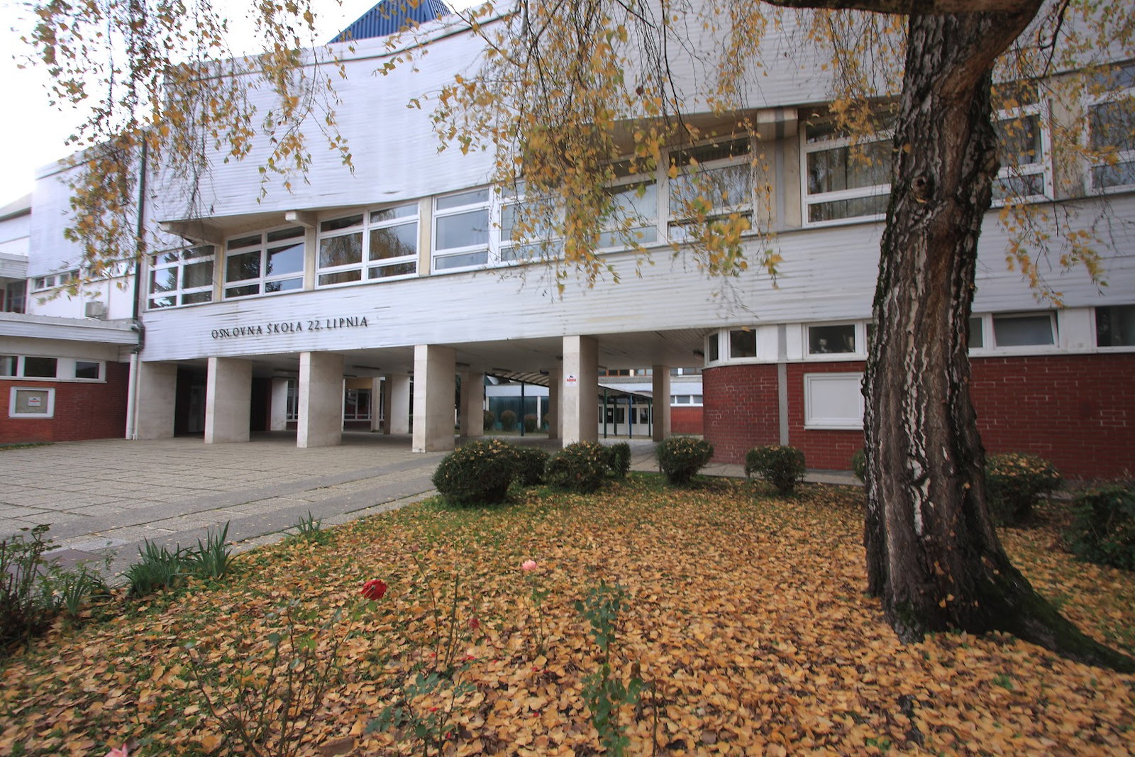 Elementary School June 22