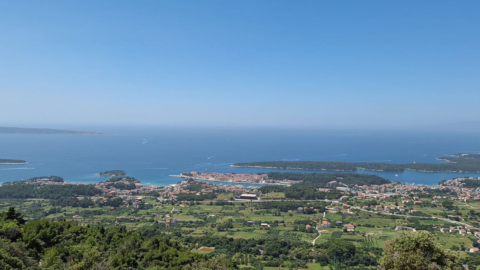 Vidilica - dr. M. Tomasica