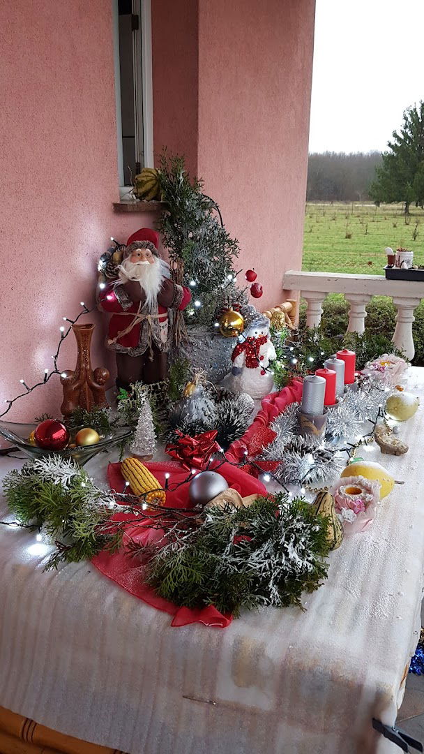 Starački dom "Sretna Zvjezdica"