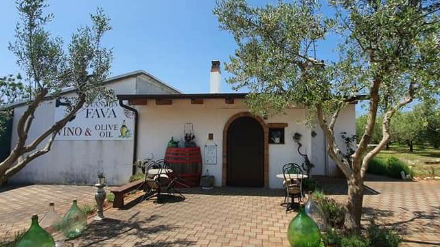 Stancija Fava - Wine & Olive Oil