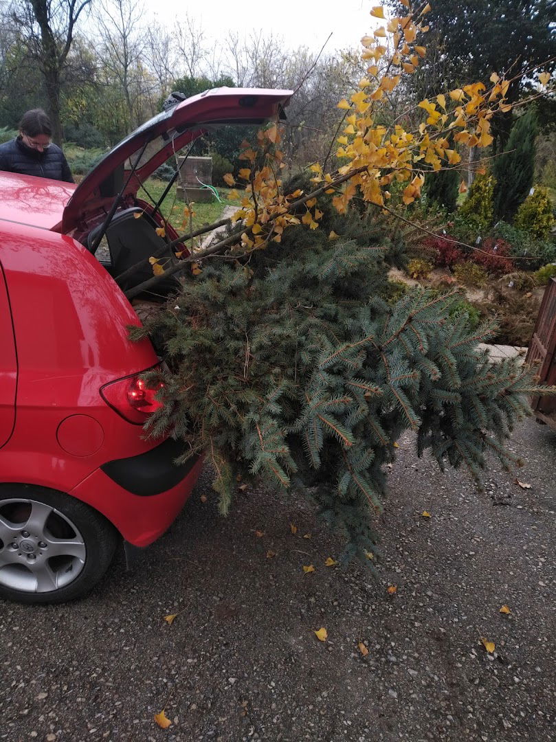 Rasadnik Sremčica - Srbija Šume