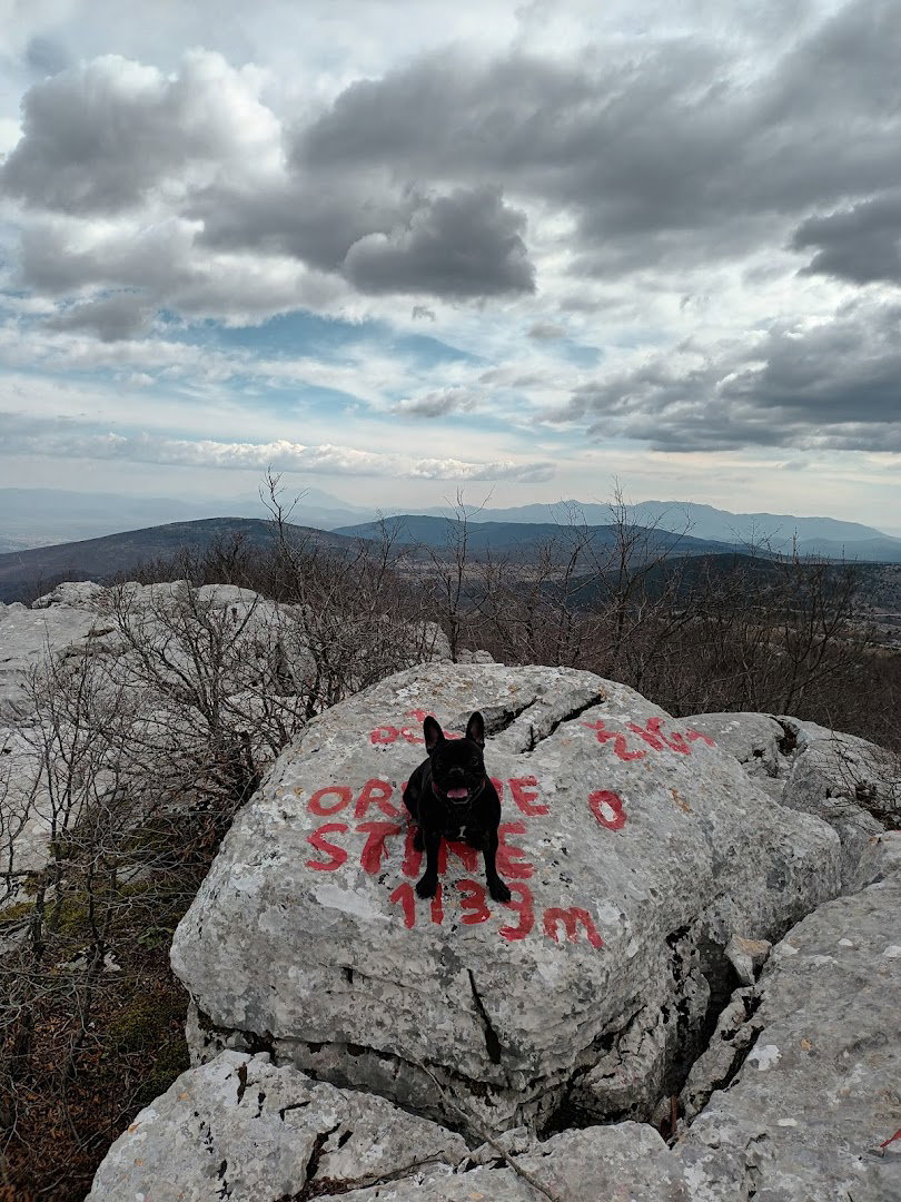 Orlove Stine Svilaja