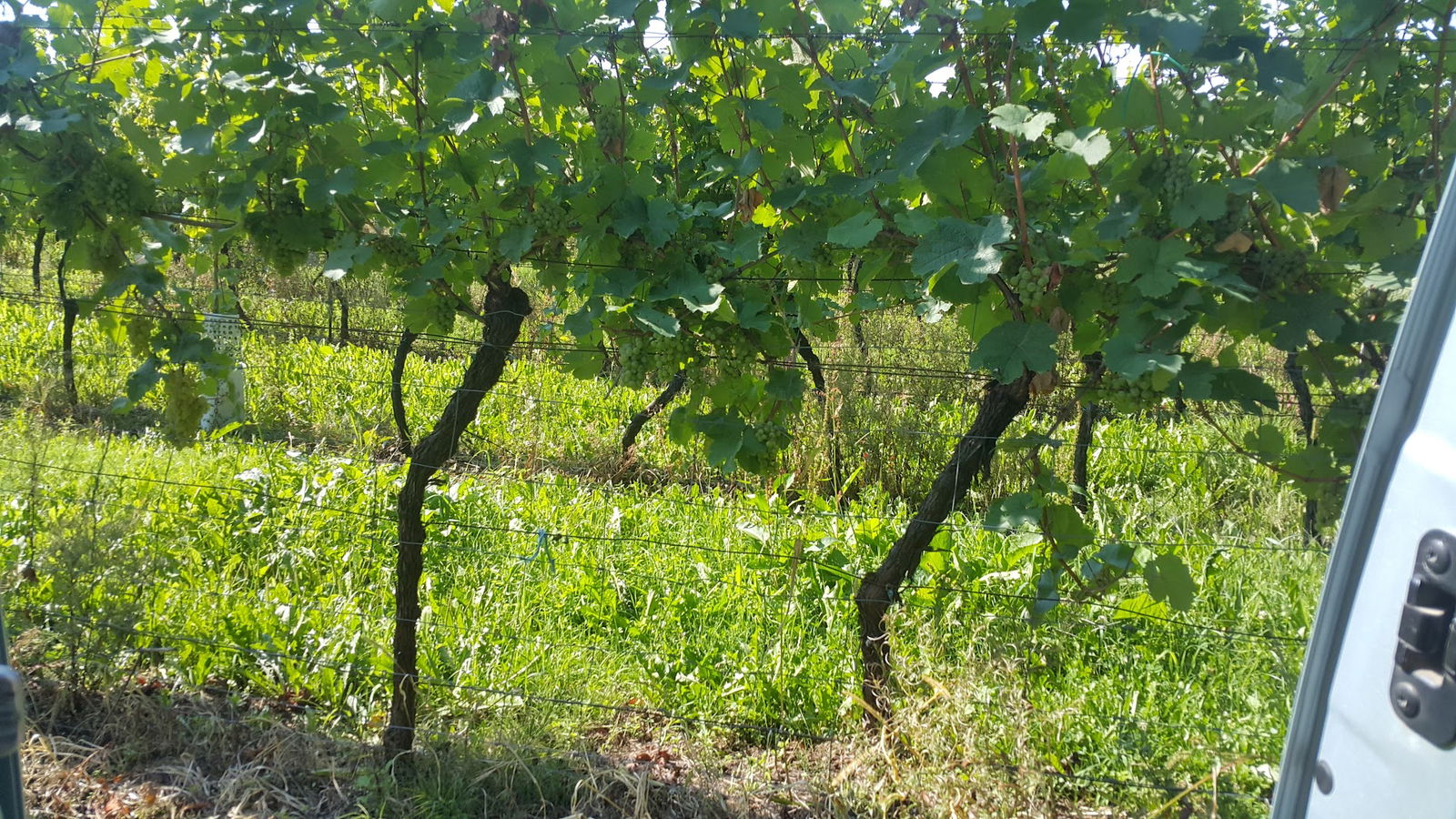 Vgrajevanje pohištva, Marjan Kaučič s.p.