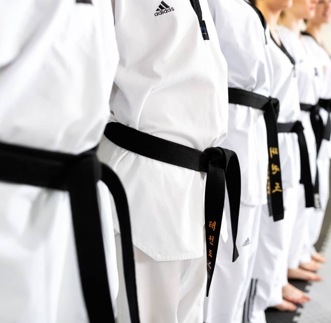 Tekvondo klub Vukovi