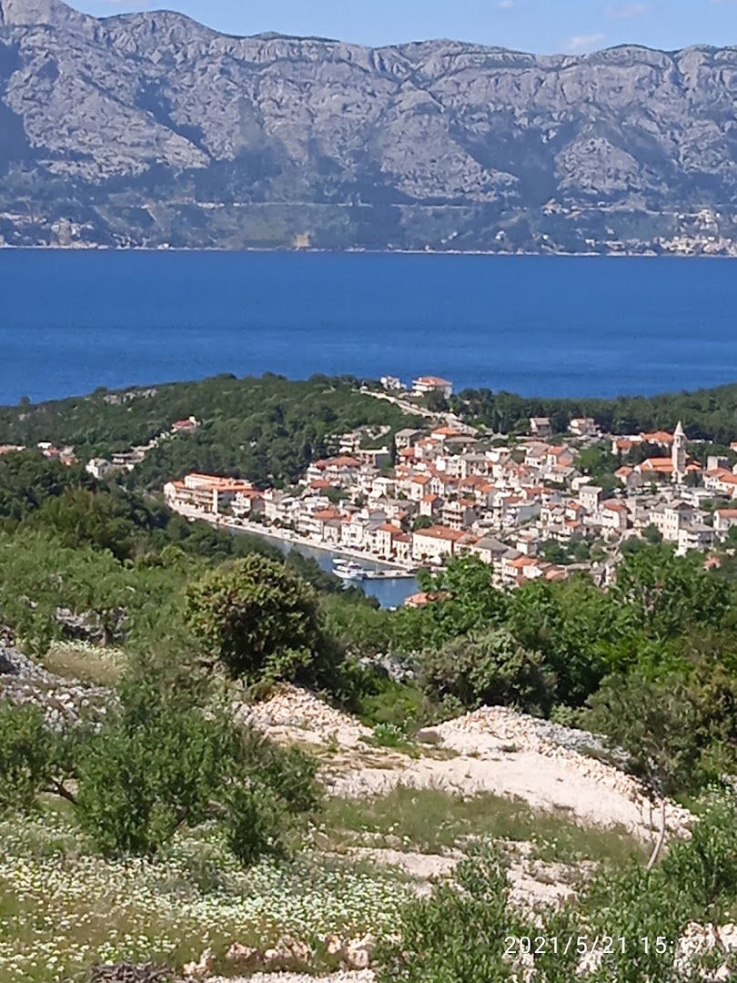 Villa Olive Paradise